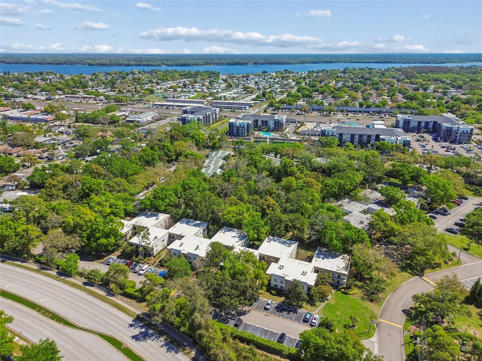 3300 FOX CHASE CIR N #202, PALM HARBOR, FL, 34683