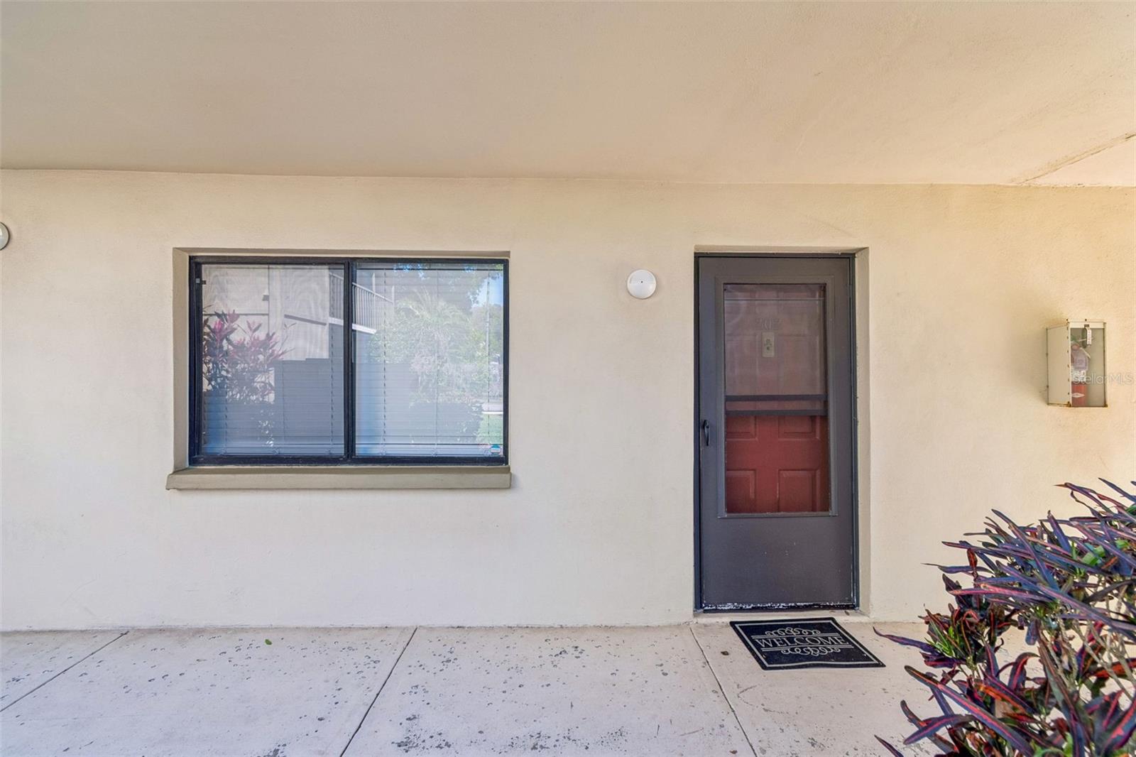 3300 FOX CHASE CIR N #202, PALM HARBOR, FL, 34683