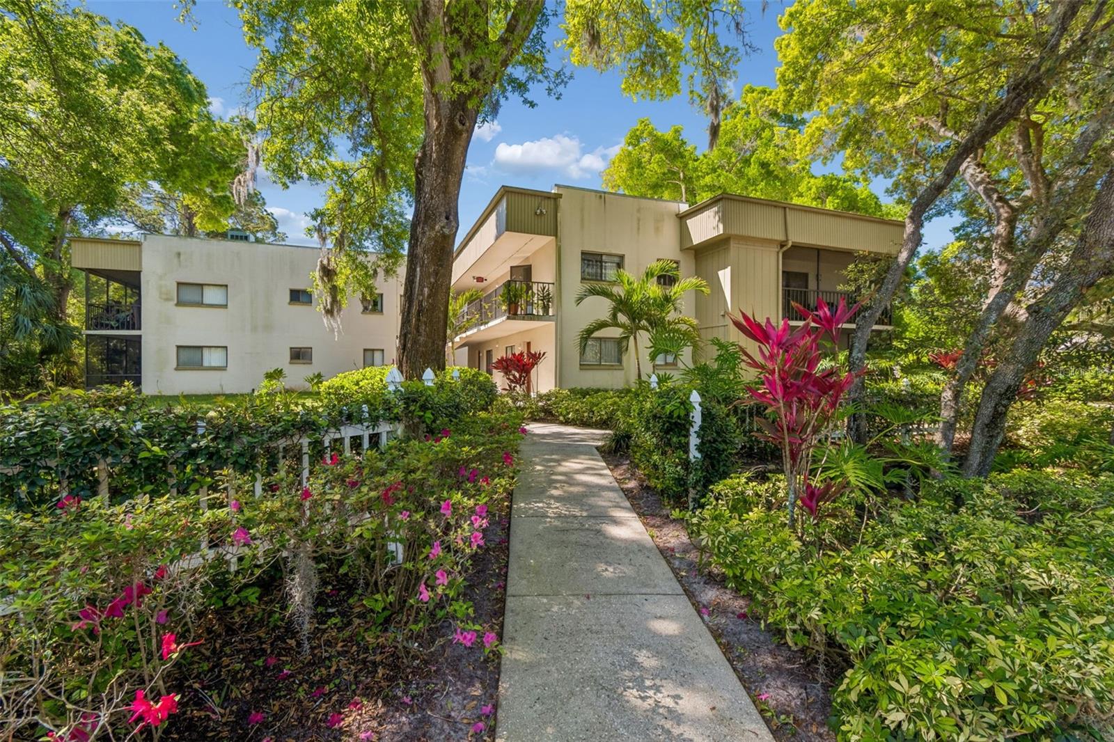 3300 FOX CHASE CIR N #202, PALM HARBOR, FL, 34683