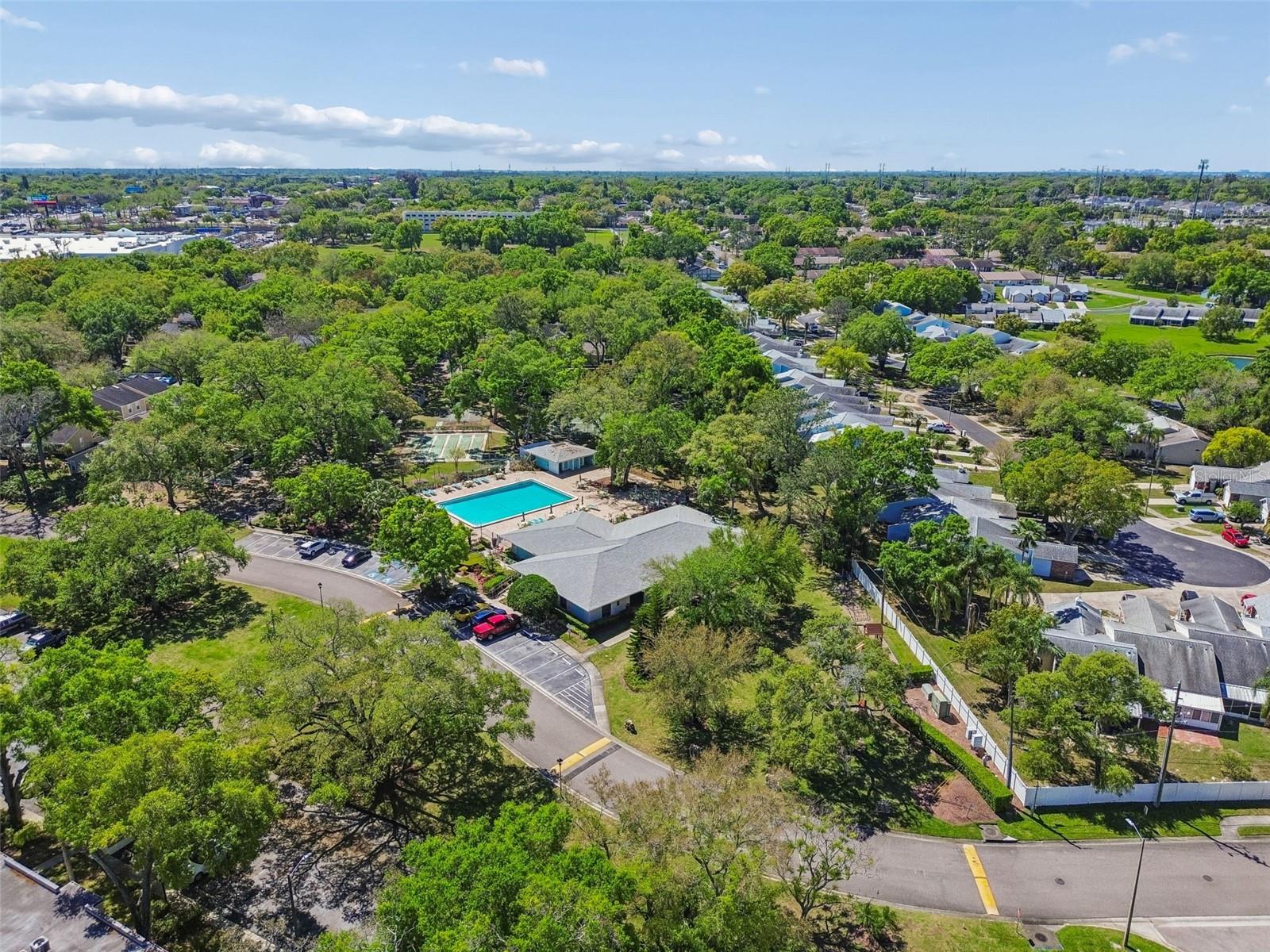 3300 FOX CHASE CIR N #202, PALM HARBOR, FL, 34683