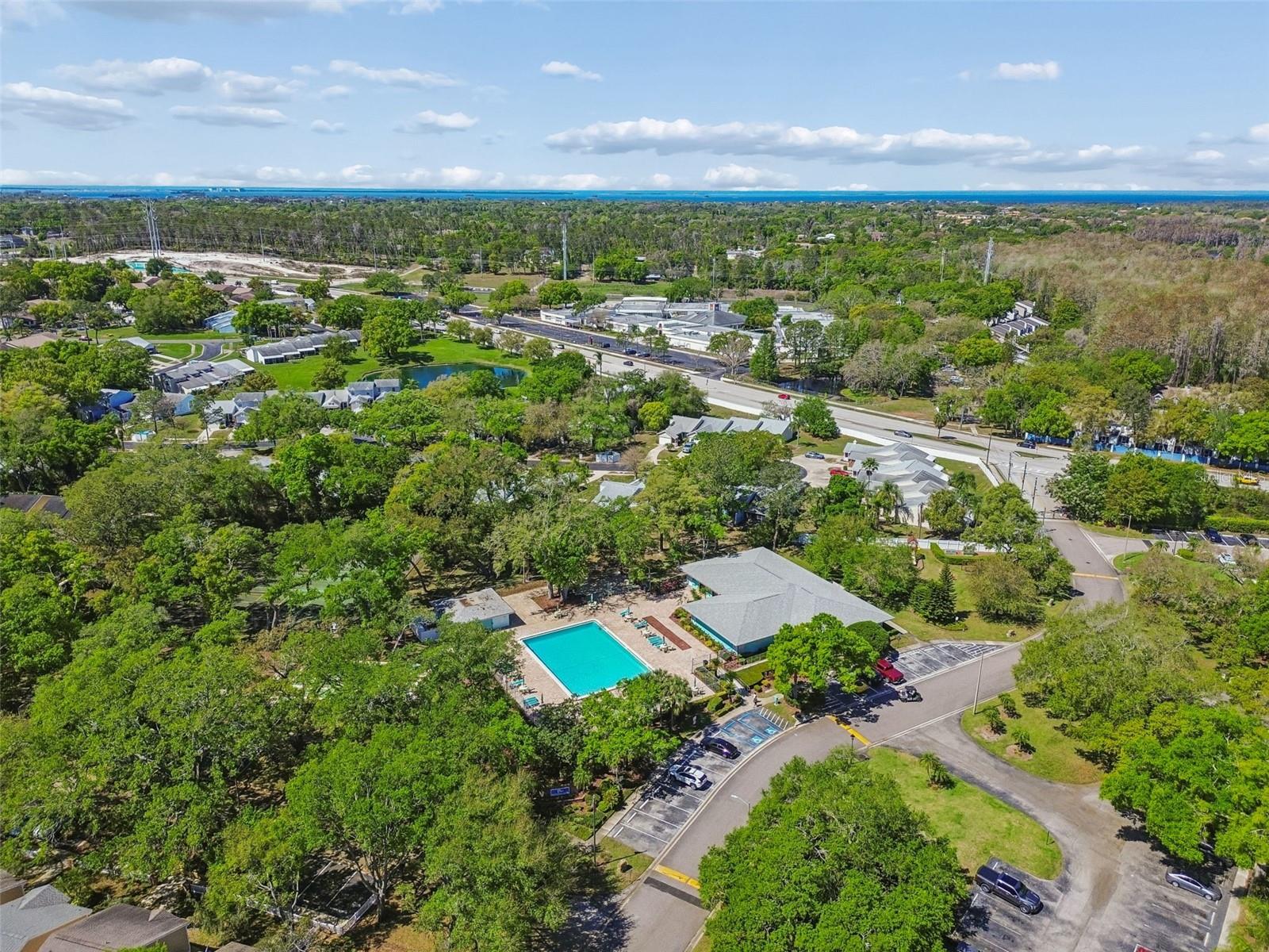 3300 FOX CHASE CIR N #202, PALM HARBOR, FL, 34683