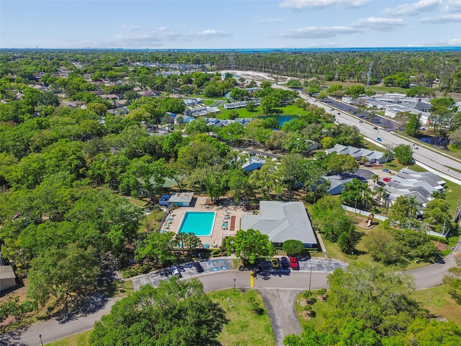 3300 FOX CHASE CIR N #202, PALM HARBOR, FL, 34683