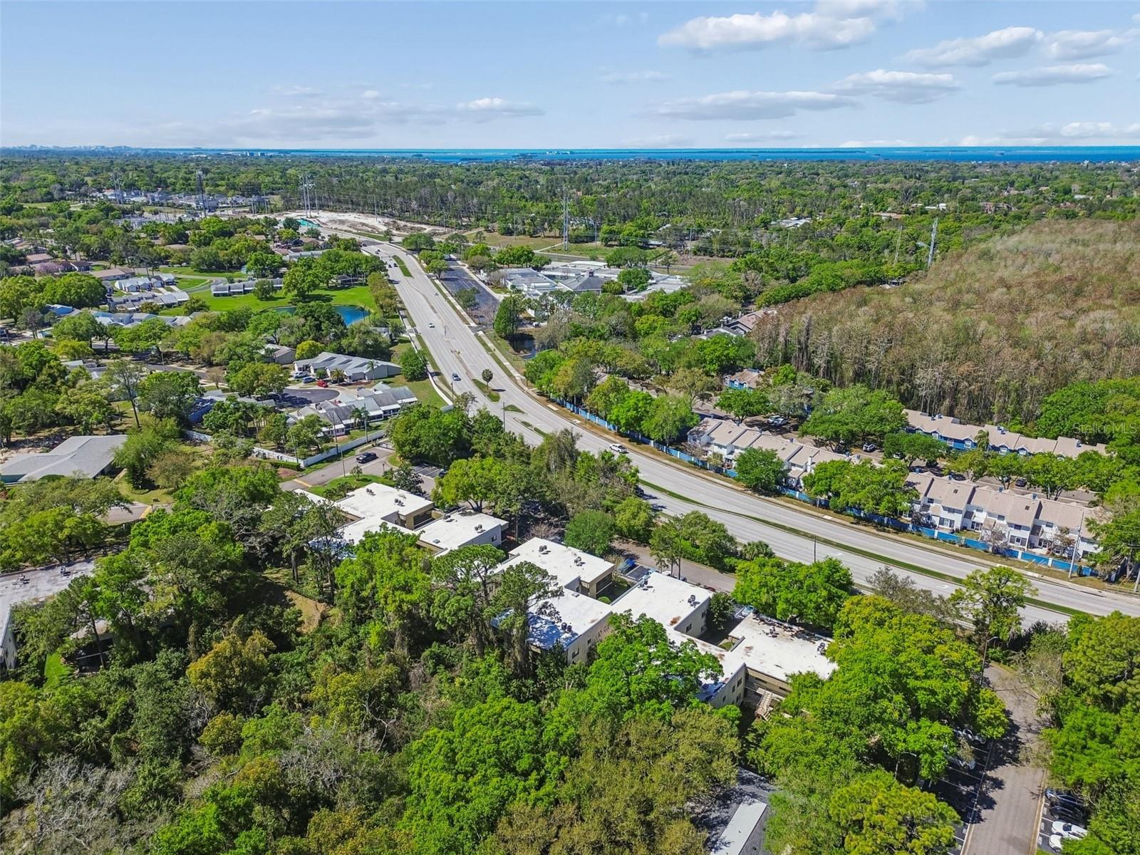 3300 FOX CHASE CIR N #202, PALM HARBOR, FL, 34683