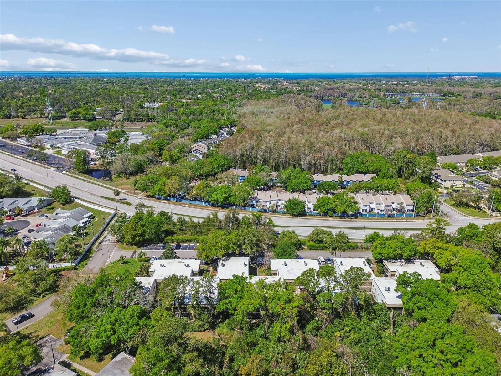 3300 FOX CHASE CIR N #202, PALM HARBOR, FL, 34683