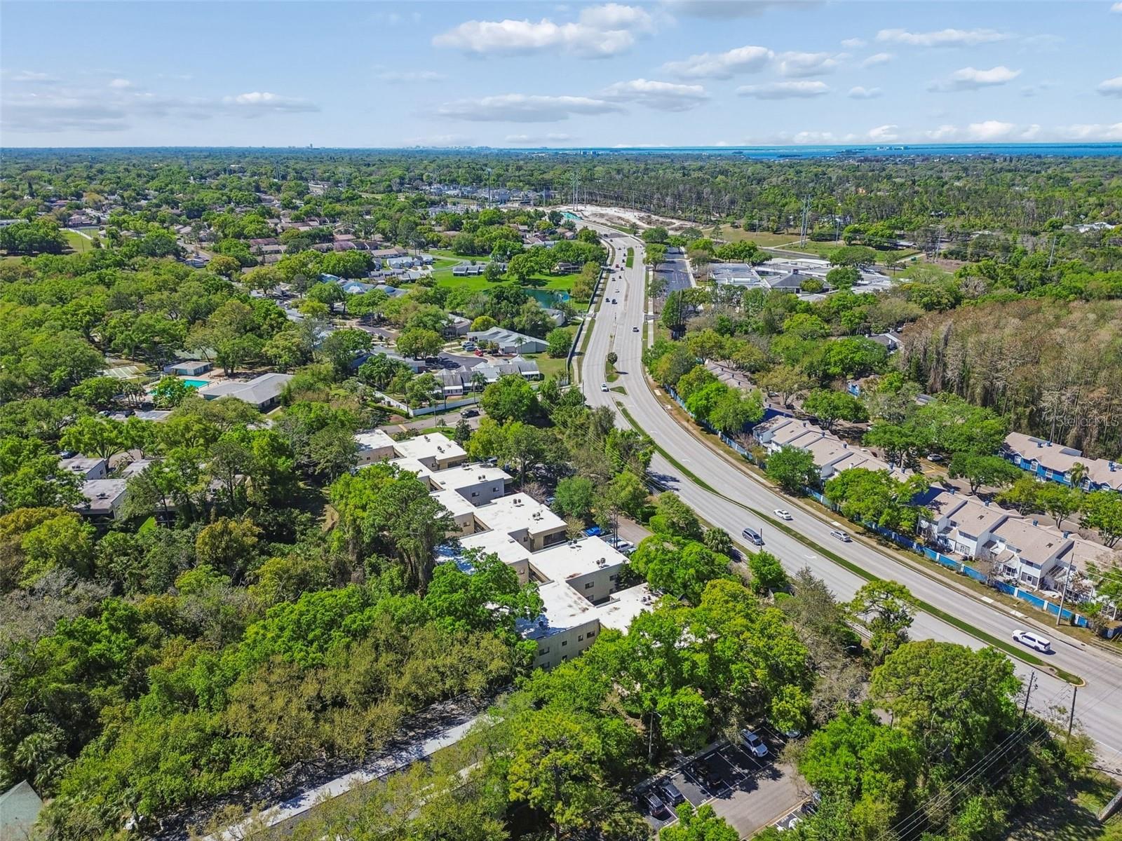 3300 FOX CHASE CIR N #202, PALM HARBOR, FL, 34683