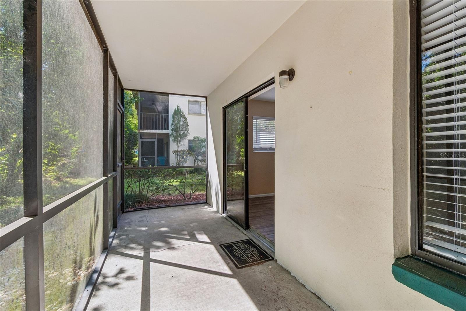 3300 FOX CHASE CIR N #202, PALM HARBOR, FL, 34683