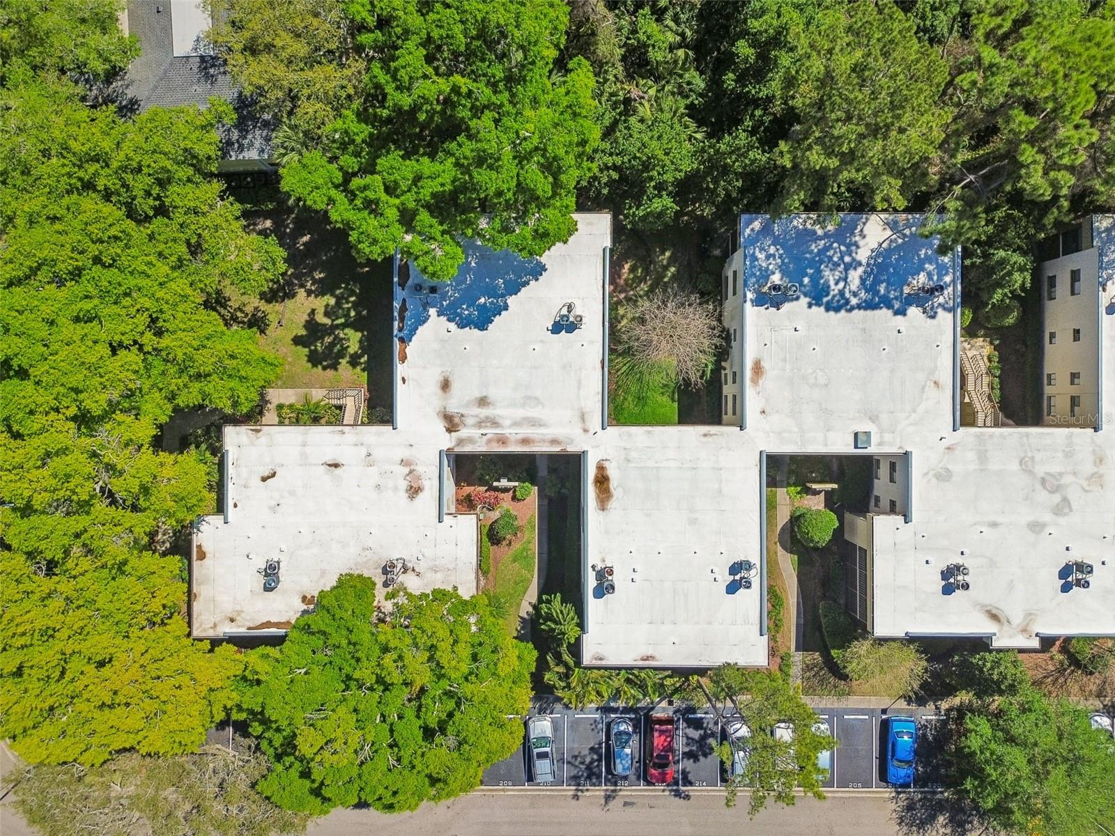 3300 FOX CHASE CIR N #202, PALM HARBOR, FL, 34683