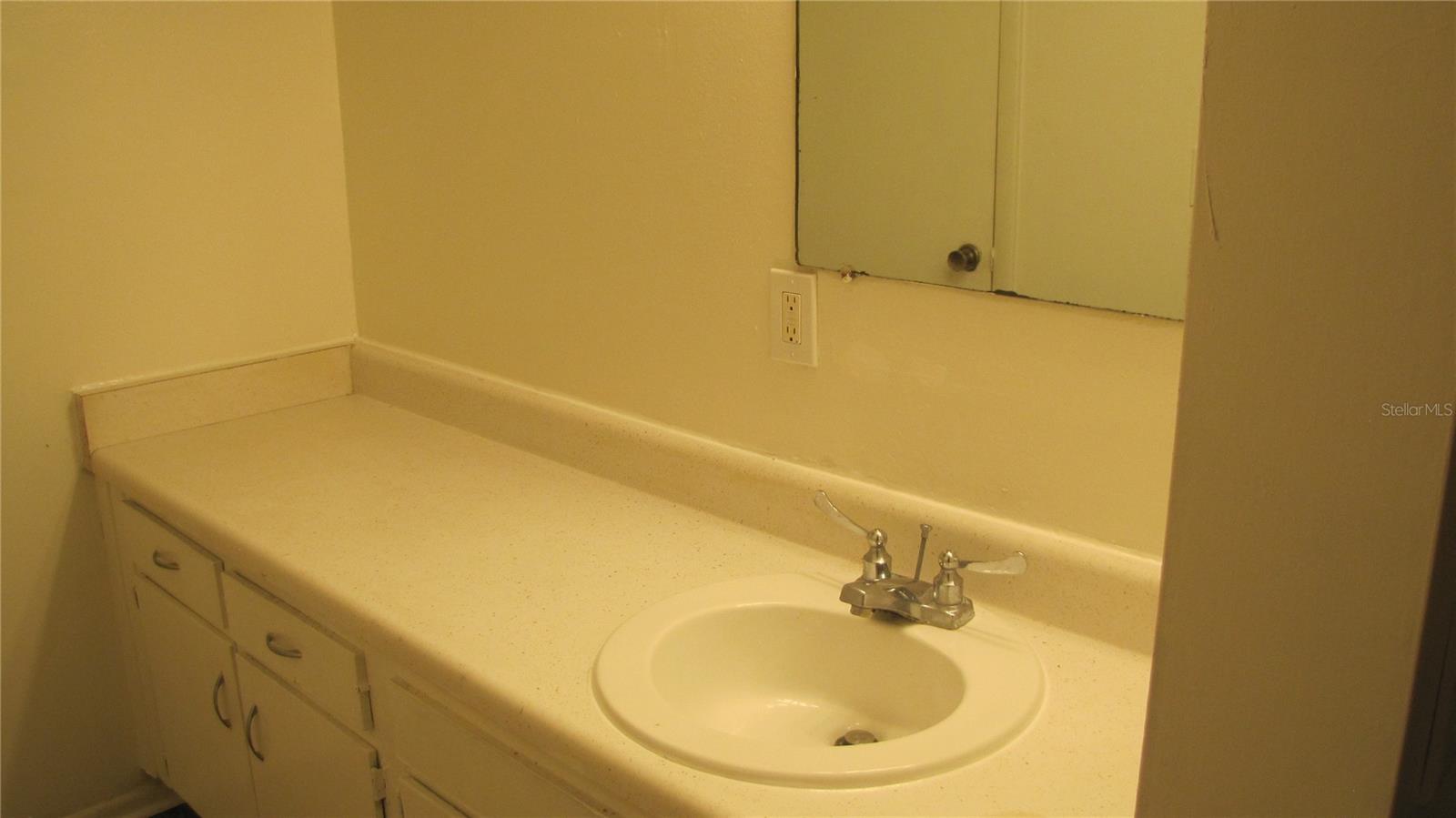 7506 NEEDLE LEAF PL #56, TAMPA, FL, 33617