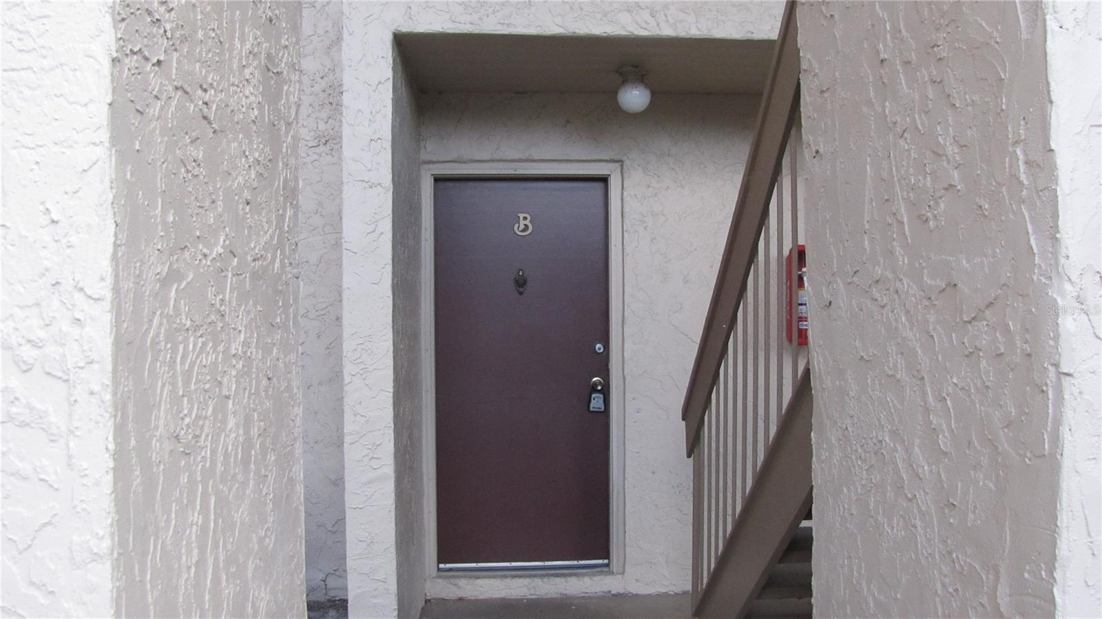 7506 NEEDLE LEAF PL #56, TAMPA, FL, 33617