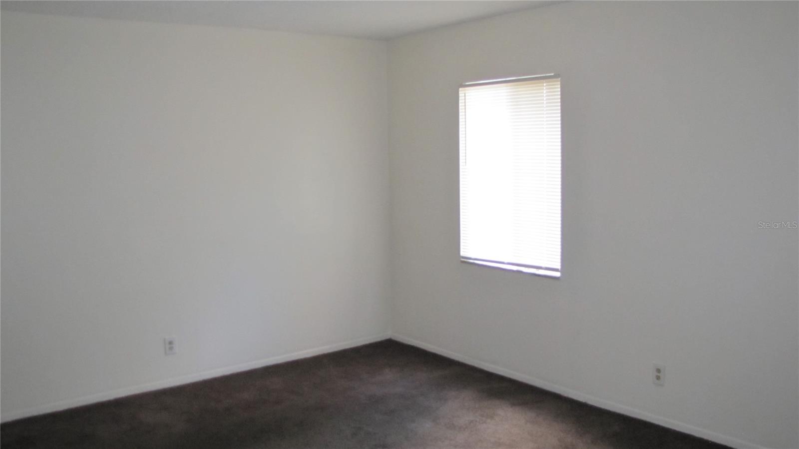 7506 NEEDLE LEAF PL #56, TAMPA, FL, 33617