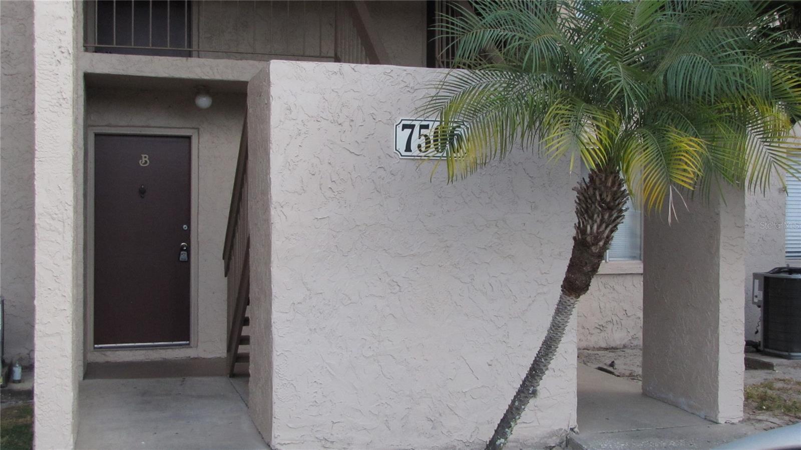 7506 NEEDLE LEAF PL #56, TAMPA, FL, 33617