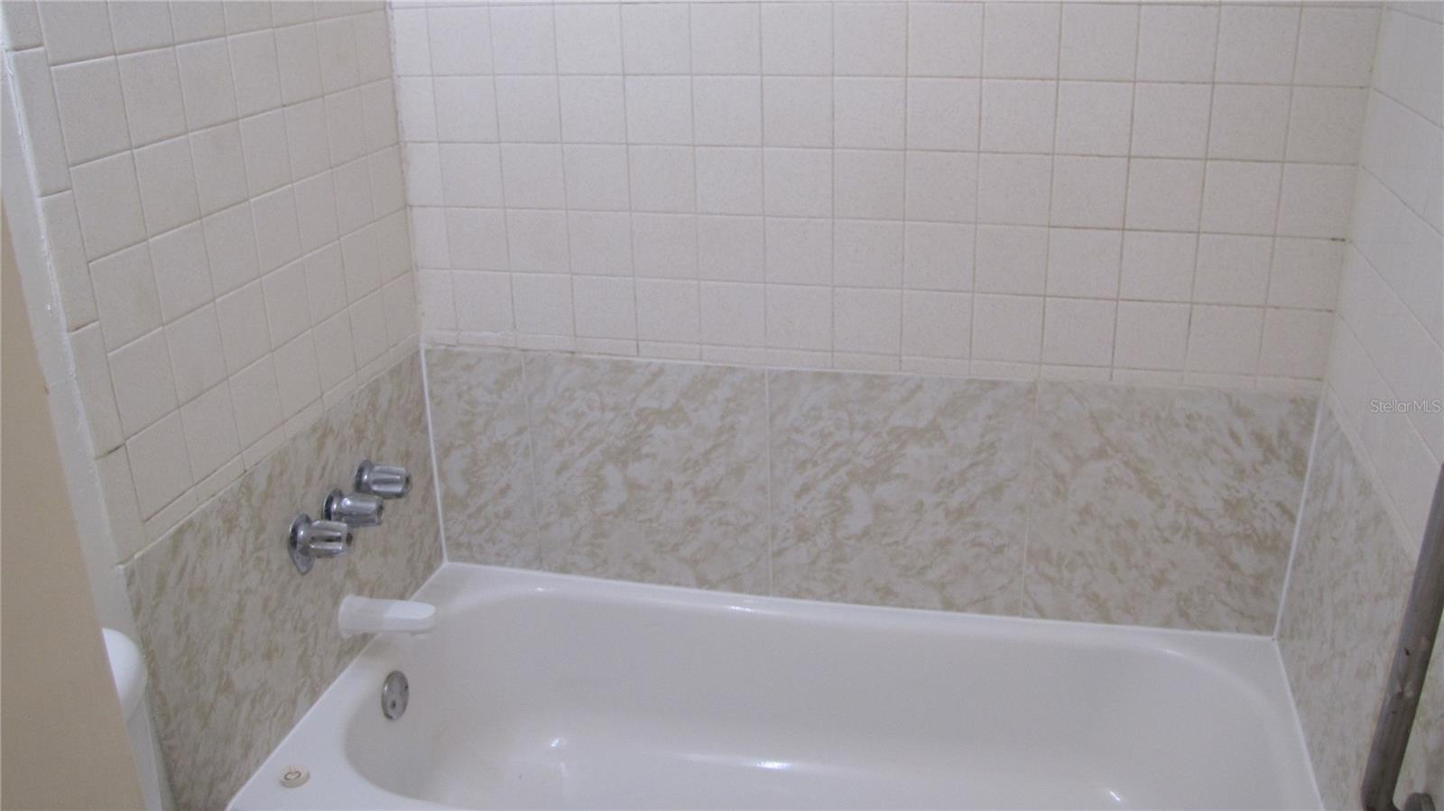 7506 NEEDLE LEAF PL #56, TAMPA, FL, 33617