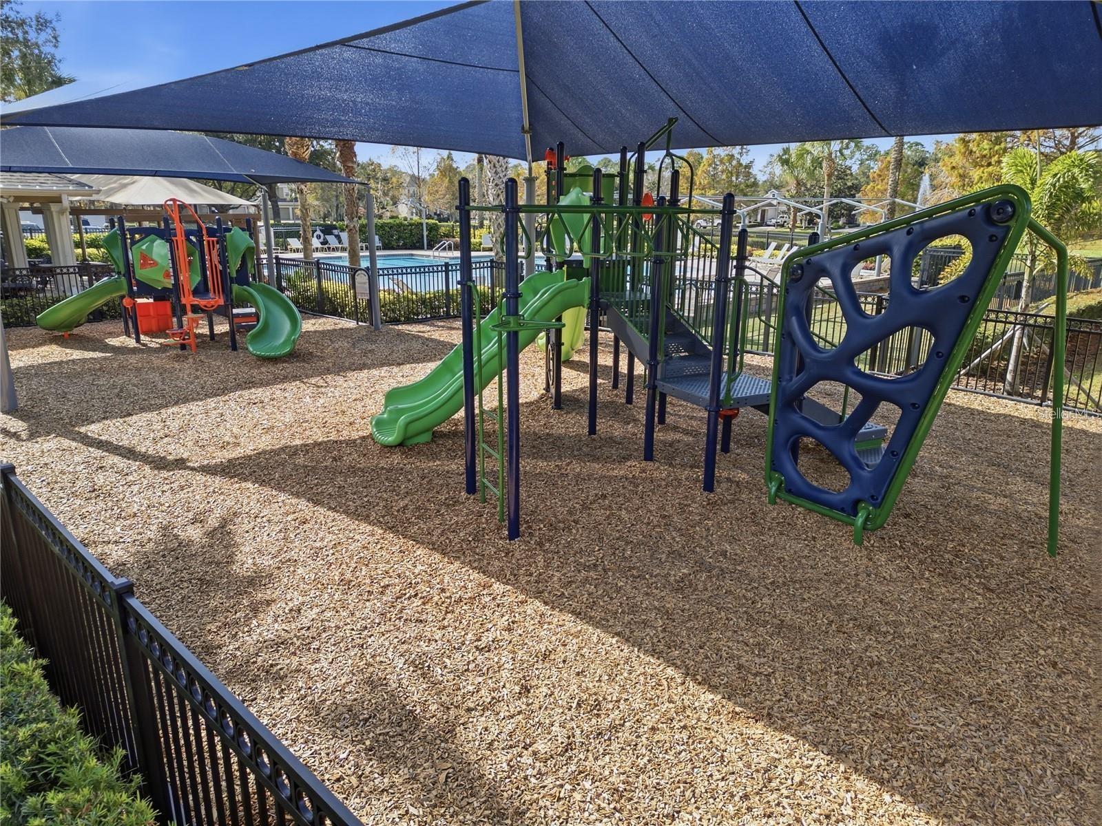 12804 SALOMON COVE DR, WINDERMERE, FL, 34786