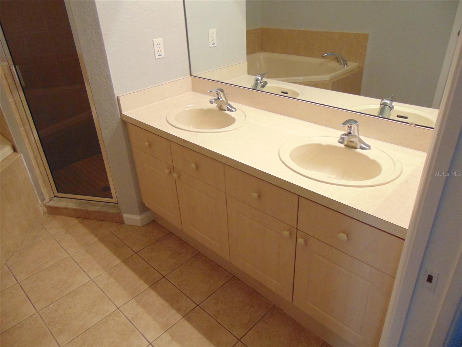 2946 CONNER LN, KISSIMMEE, FL, 34741