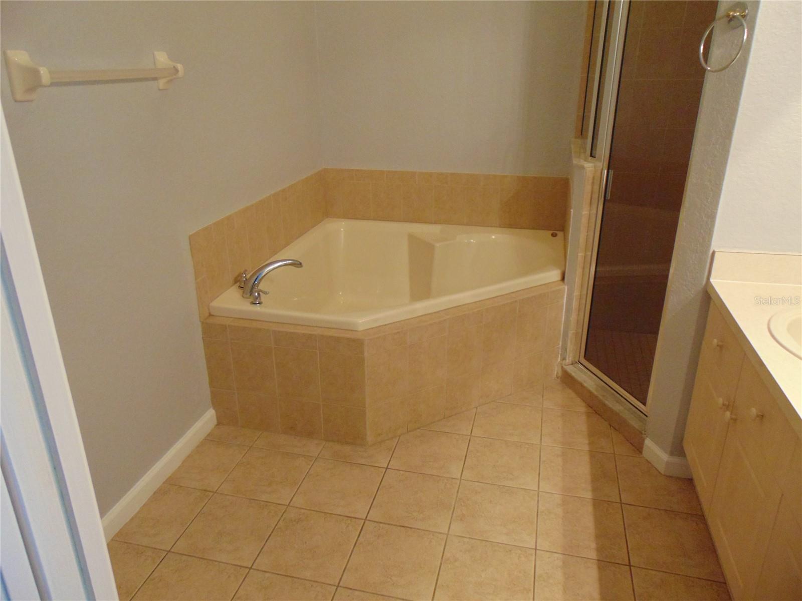 2946 CONNER LN, KISSIMMEE, FL, 34741