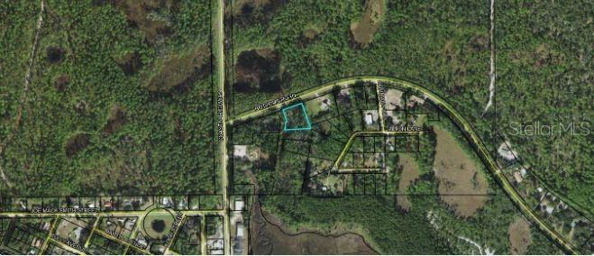 BOTTOMS RD, PANACEA, FL, 32346