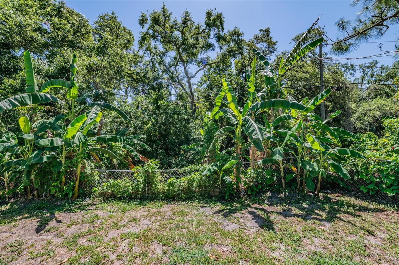 1124 DANNY DR, SARASOTA, FL, 34243