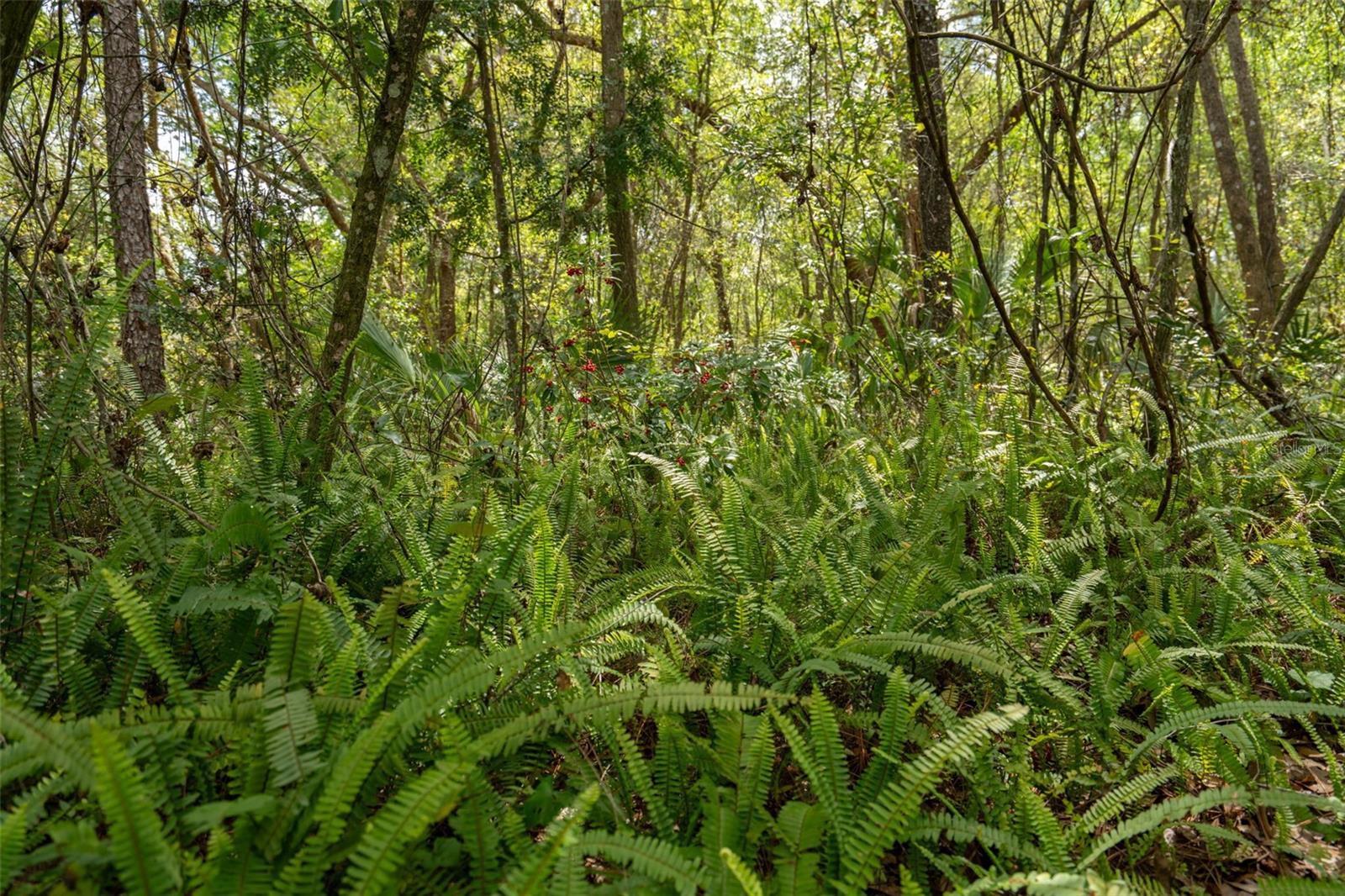 3 OLD POST RD, LONGWOOD, FL, 32779