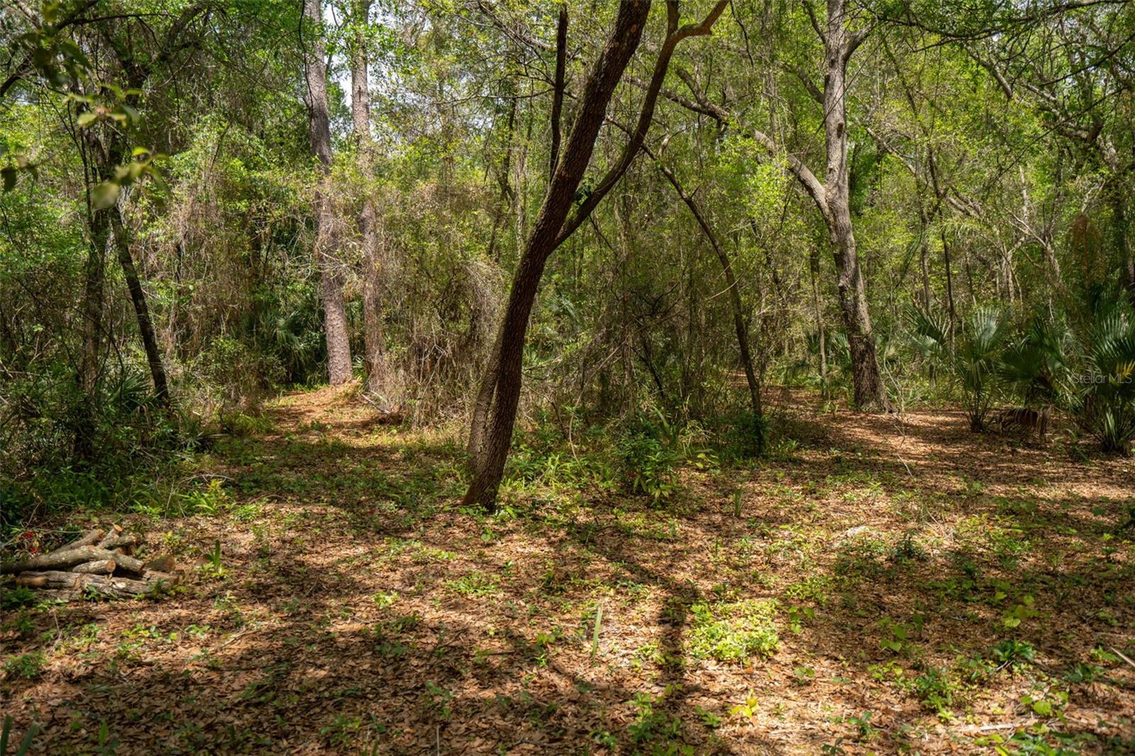 3 OLD POST RD, LONGWOOD, FL, 32779