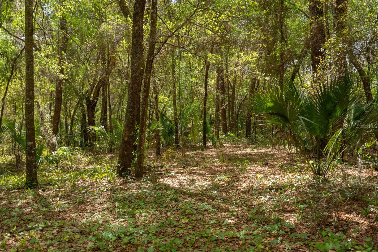 3 OLD POST RD, LONGWOOD, FL, 32779