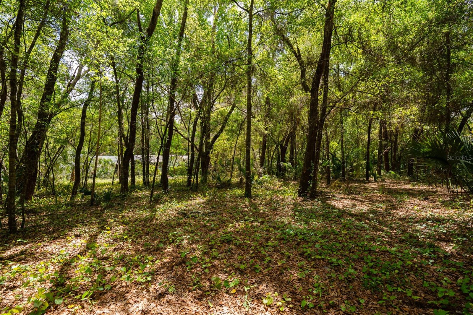 3 OLD POST RD, LONGWOOD, FL, 32779