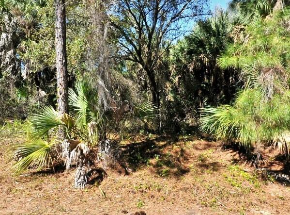 LOT 20 BLK 1749 34TH ADD TO PORT CHARLOTTE, NORTH PORT, FL, 34288