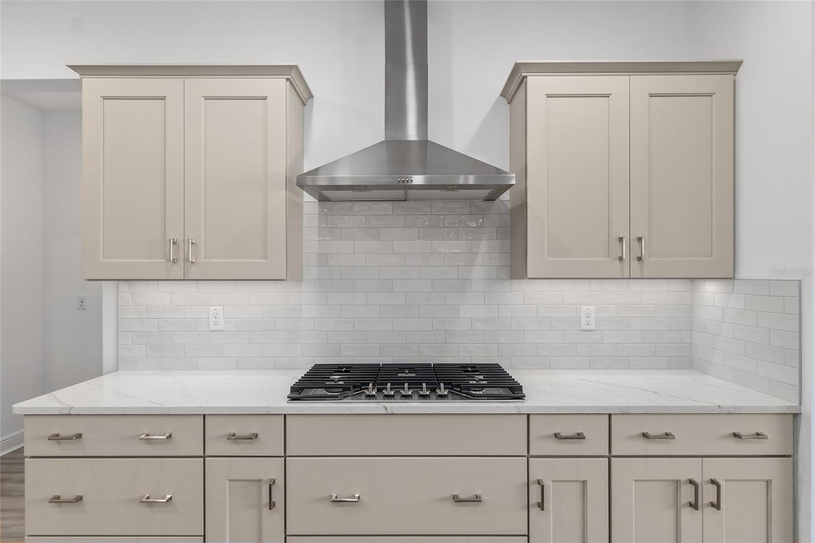 8515 SW 101ST TER, OCALA, FL, 34481