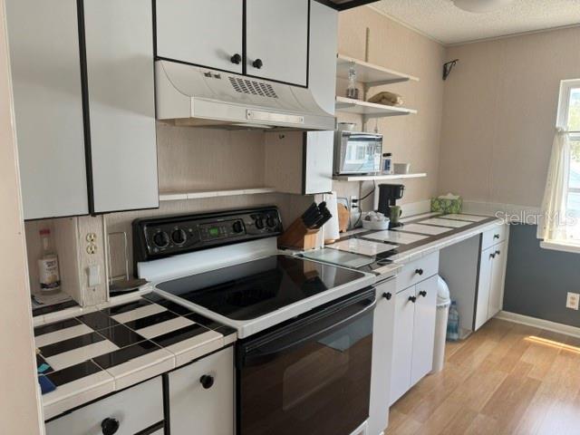 3223 38TH WAY S #F, ST PETERSBURG, FL, 33711