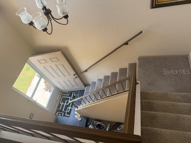 3223 38TH WAY S #F, ST PETERSBURG, FL, 33711