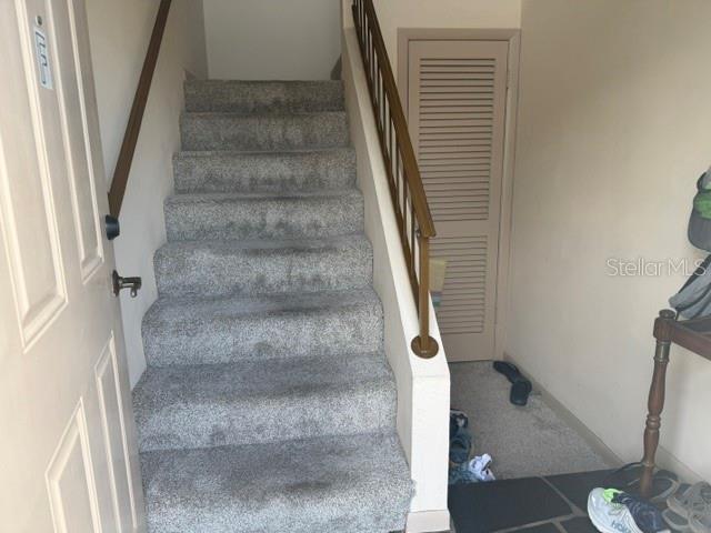 3223 38TH WAY S #F, ST PETERSBURG, FL, 33711