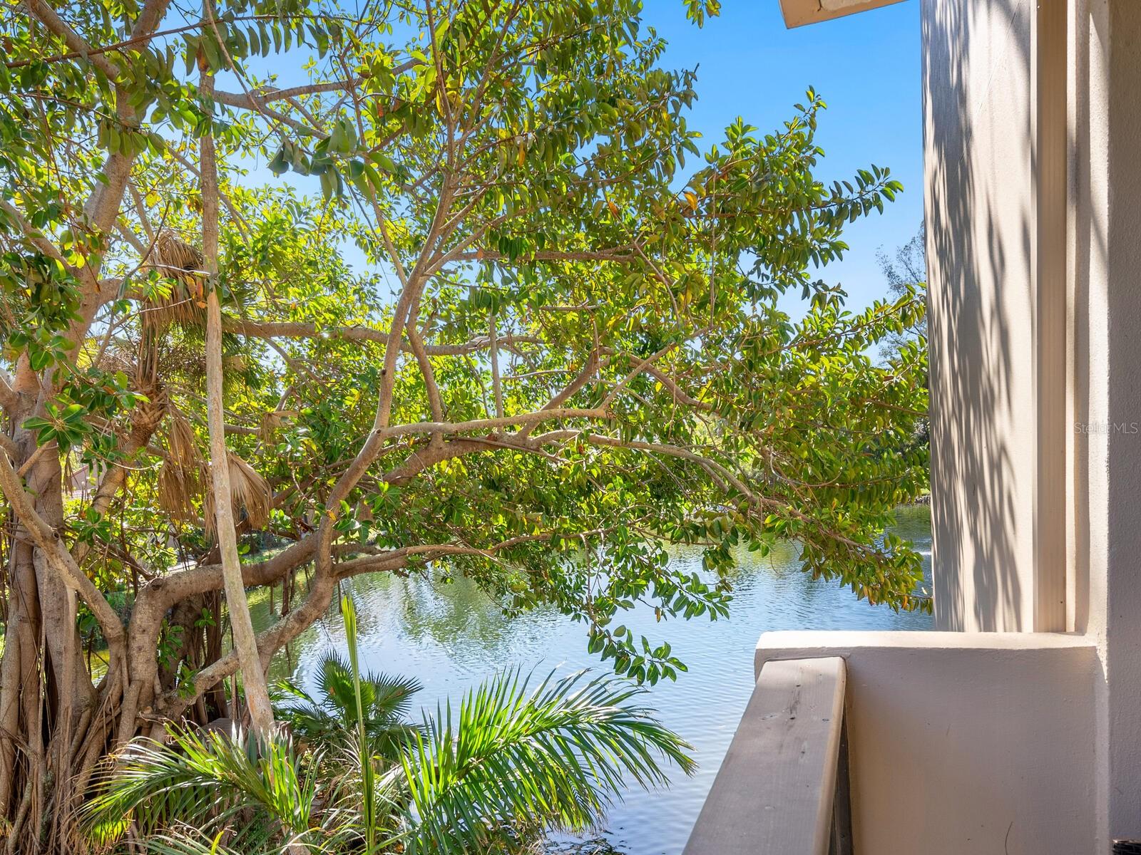 22 SANDY COVE RD #APT 203, SARASOTA, FL, 34242