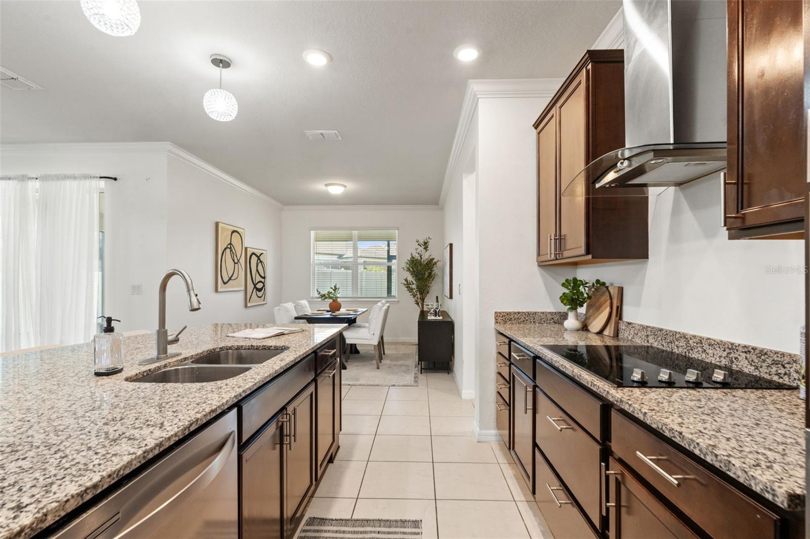 9748 IBIS GROVE BLVD, WESLEY CHAPEL, FL, 33545