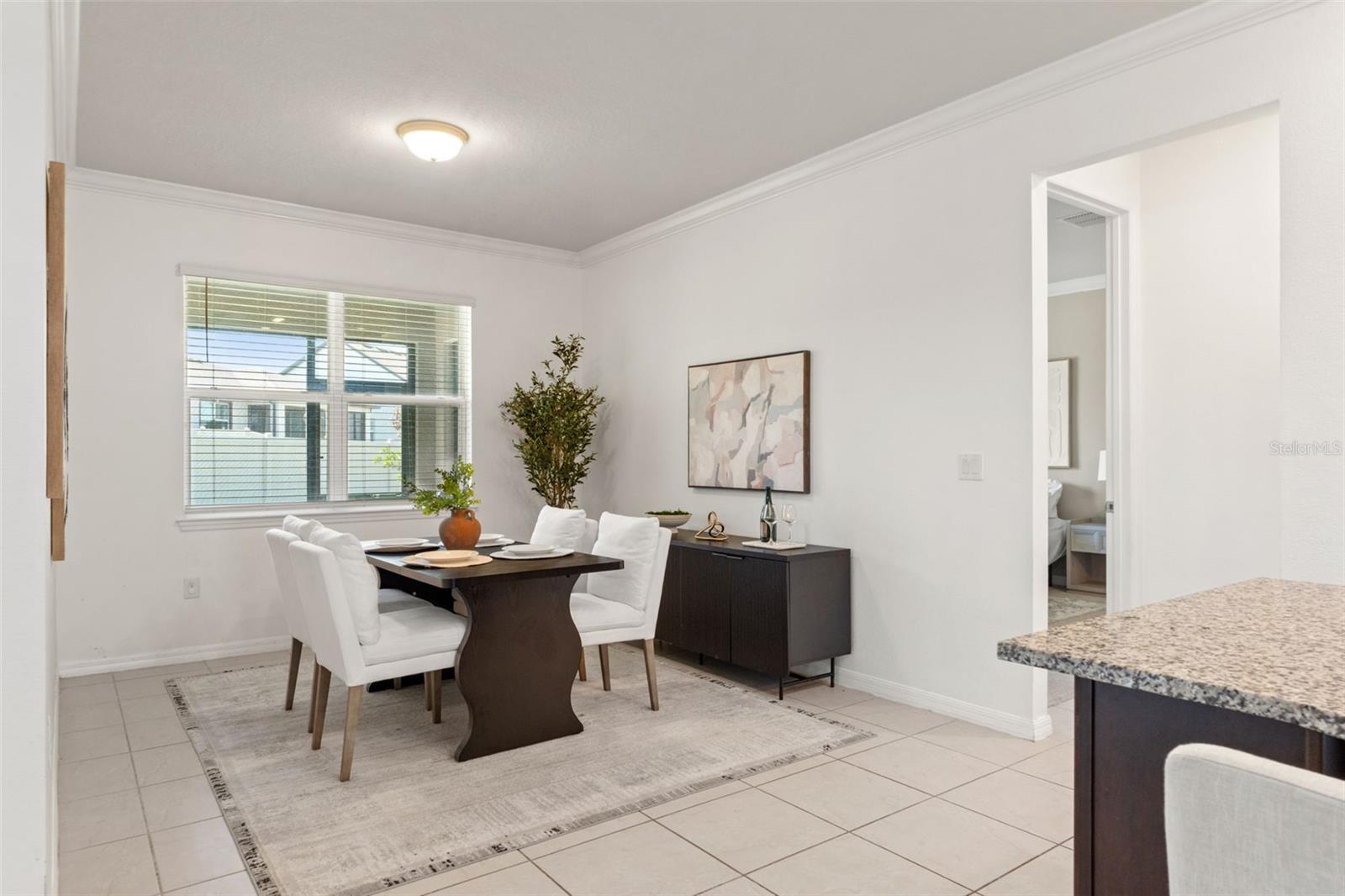 9748 IBIS GROVE BLVD, WESLEY CHAPEL, FL, 33545