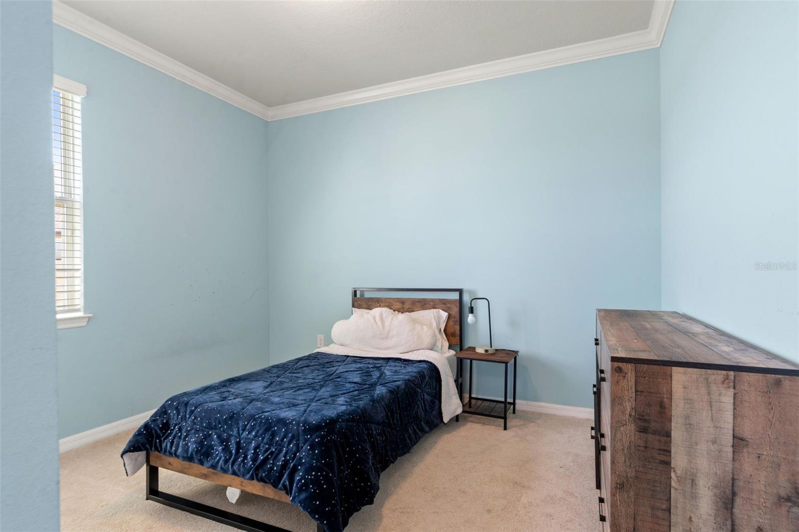 9748 IBIS GROVE BLVD, WESLEY CHAPEL, FL, 33545
