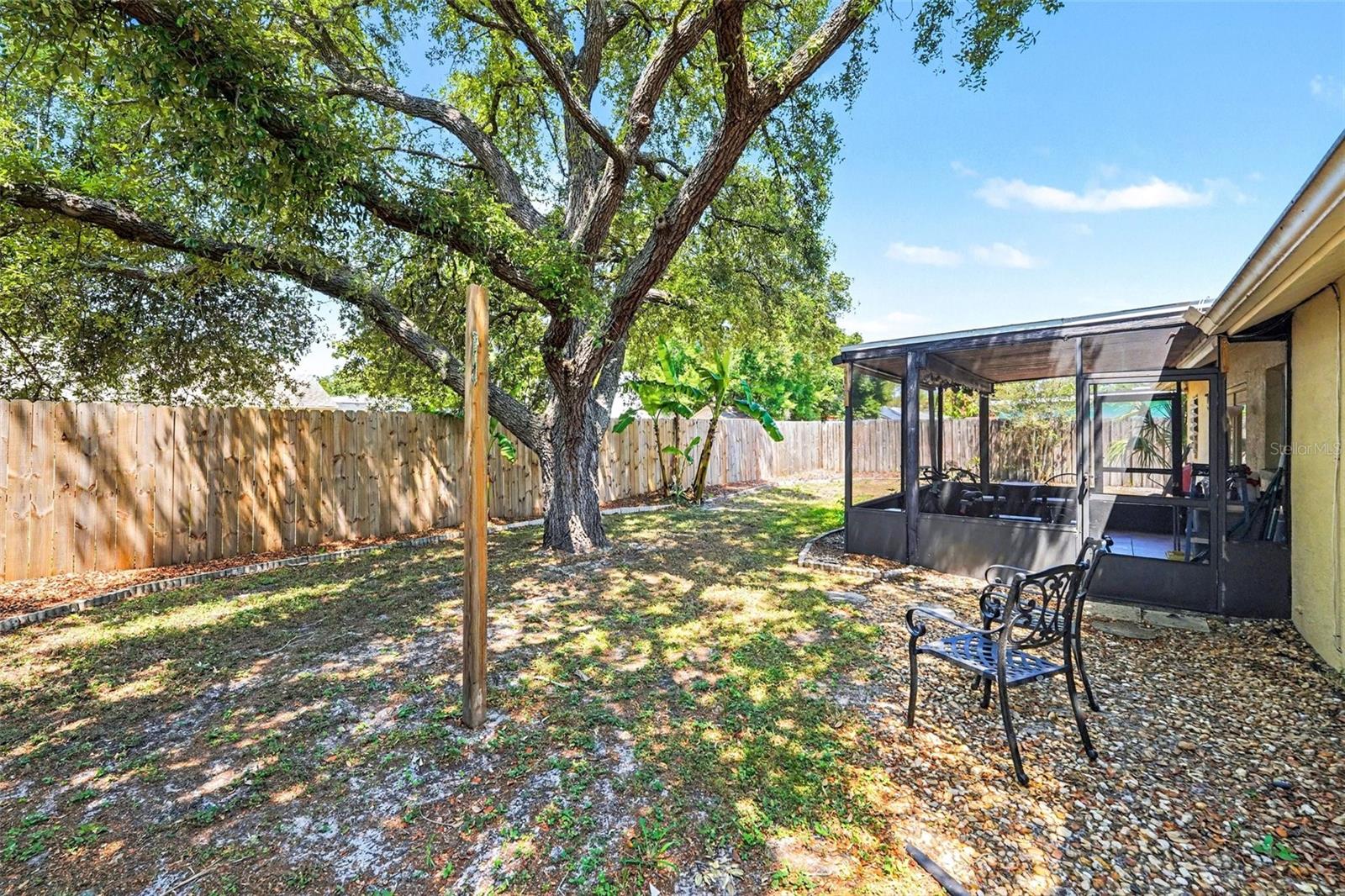 604 LIMETREE DR, OLDSMAR, FL, 34677