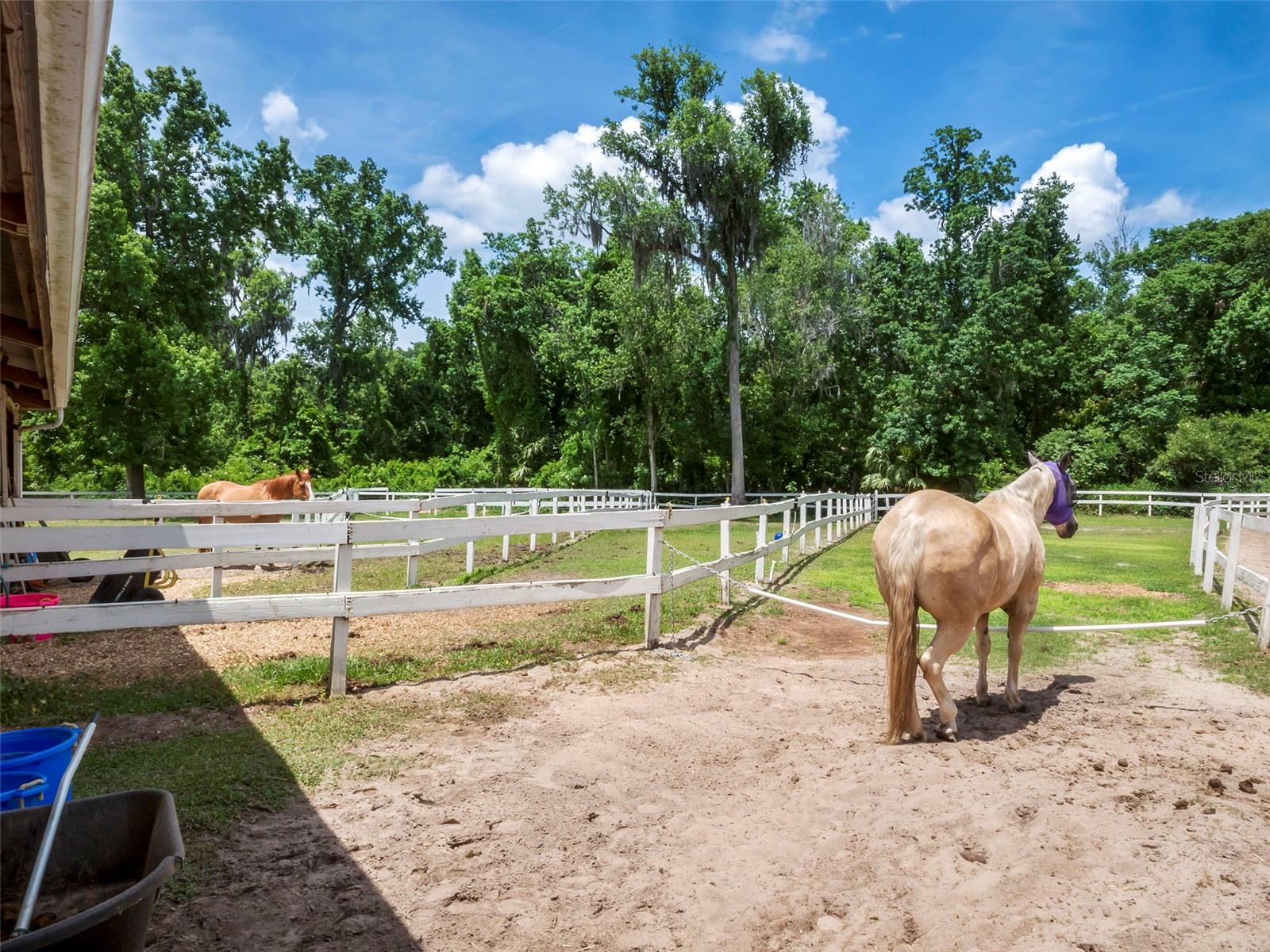 106 HIDDEN OAK DR, LONGWOOD, FL, 32779