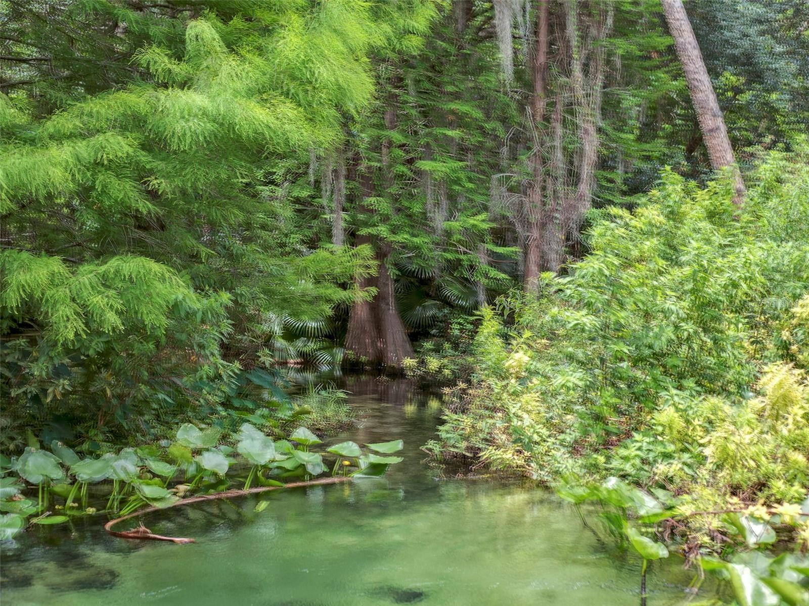 106 HIDDEN OAK DR, LONGWOOD, FL, 32779