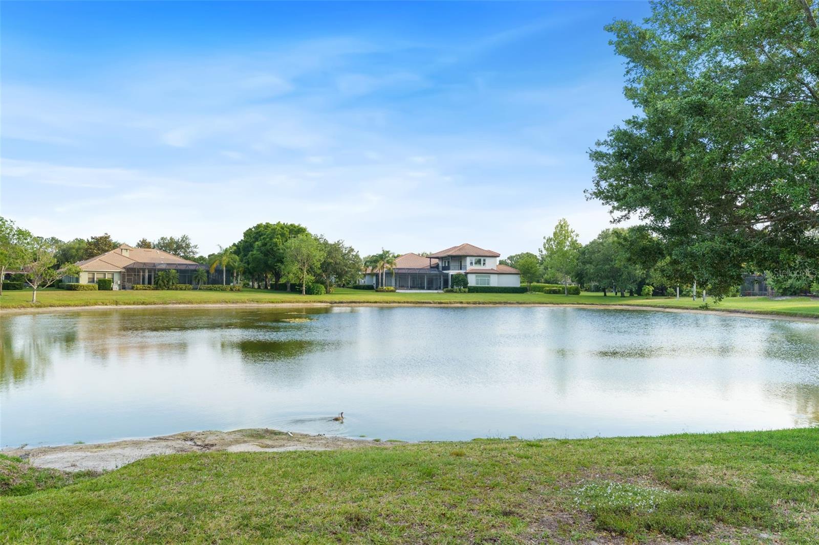 7906 FOXCATCHER CT, ODESSA, FL, 33556