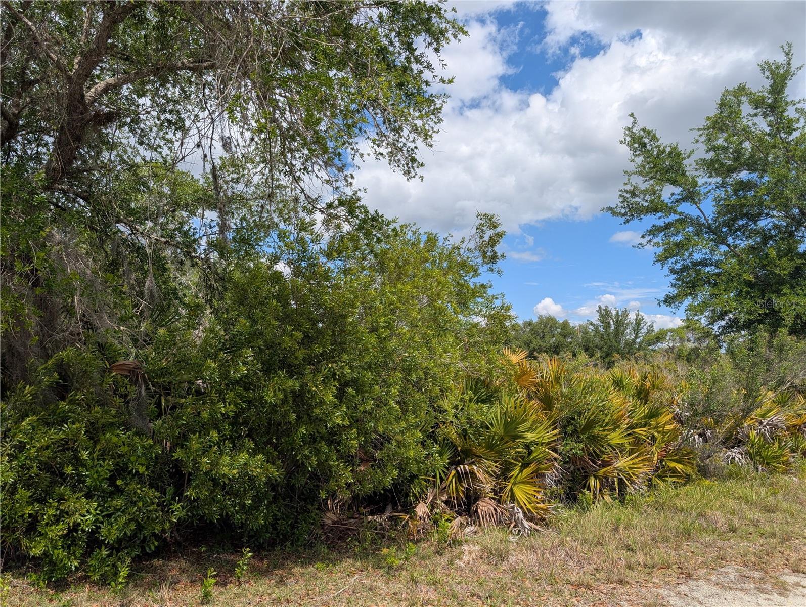 FORT MYERS DR, INDIAN LAKE ESTATES, FL, 33855