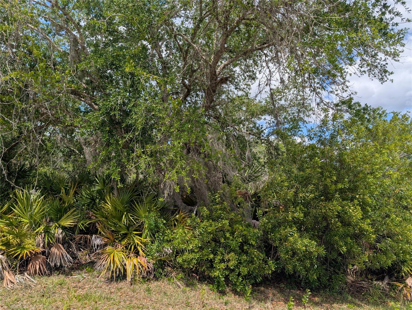FORT MYERS DR, INDIAN LAKE ESTATES, FL, 33855