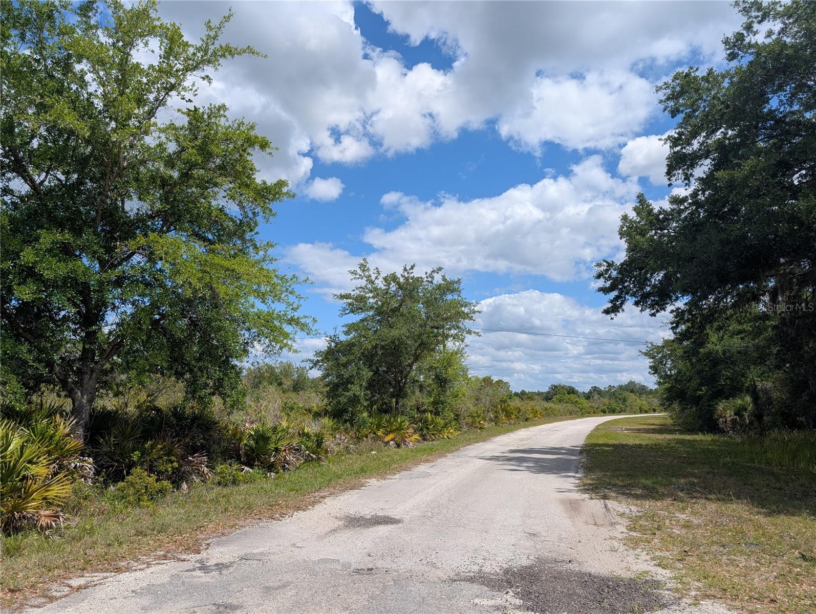 FORT MYERS DR, INDIAN LAKE ESTATES, FL, 33855