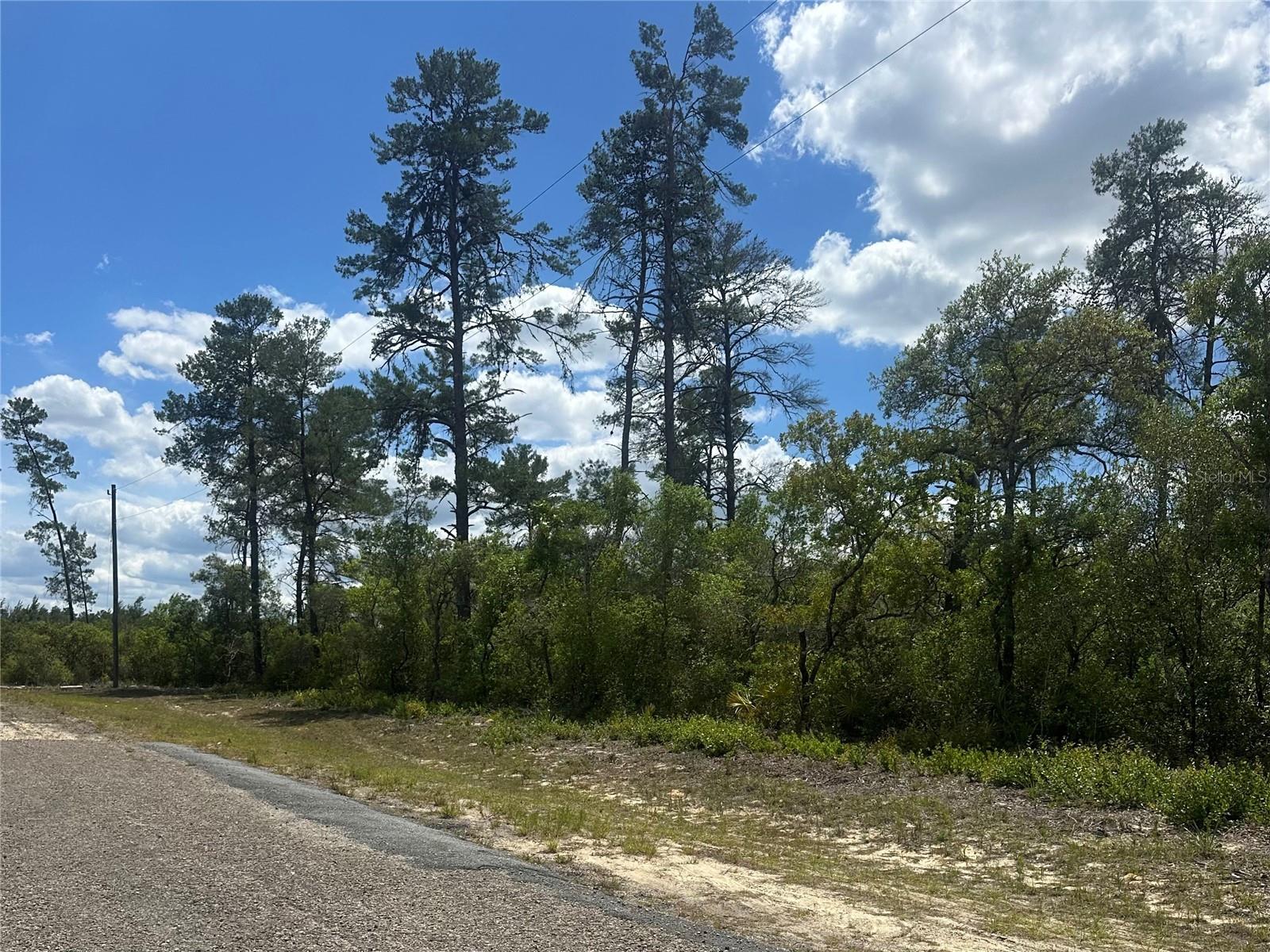 8036 N WAYSIDE AVE, DUNNELLON, FL, 34433