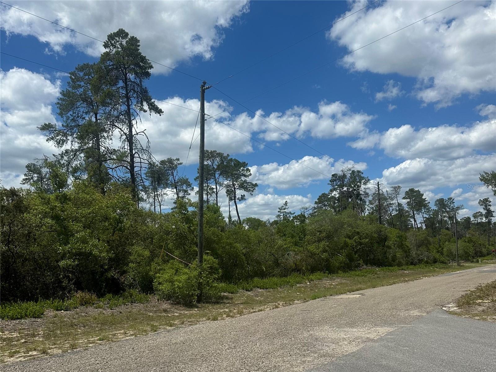 8036 N WAYSIDE AVE, DUNNELLON, FL, 34433