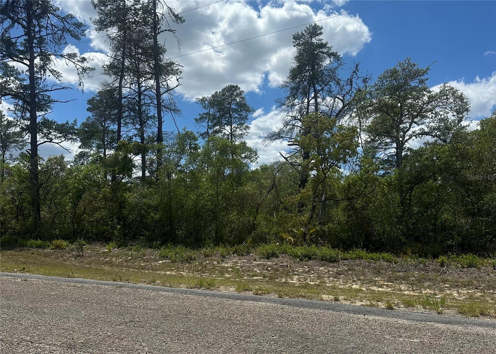 8036 N WAYSIDE AVE, DUNNELLON, FL, 34433