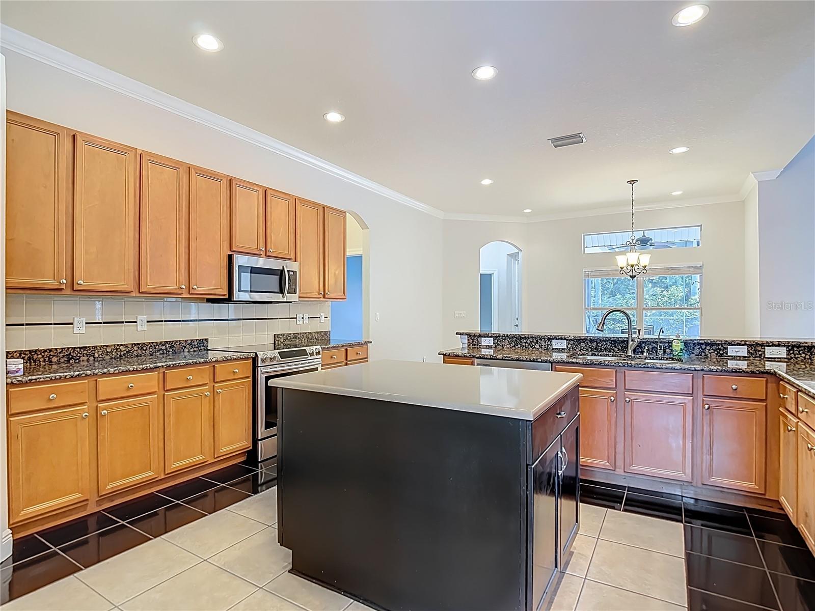 2705 COASTAL RANGE WAY, LUTZ, FL, 33559