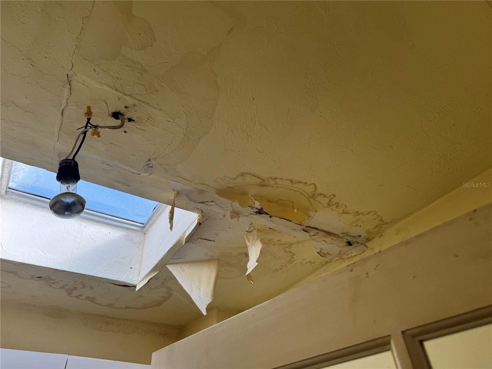 930 N WILD OLIVE AVE, DAYTONA BEACH, FL, 32118