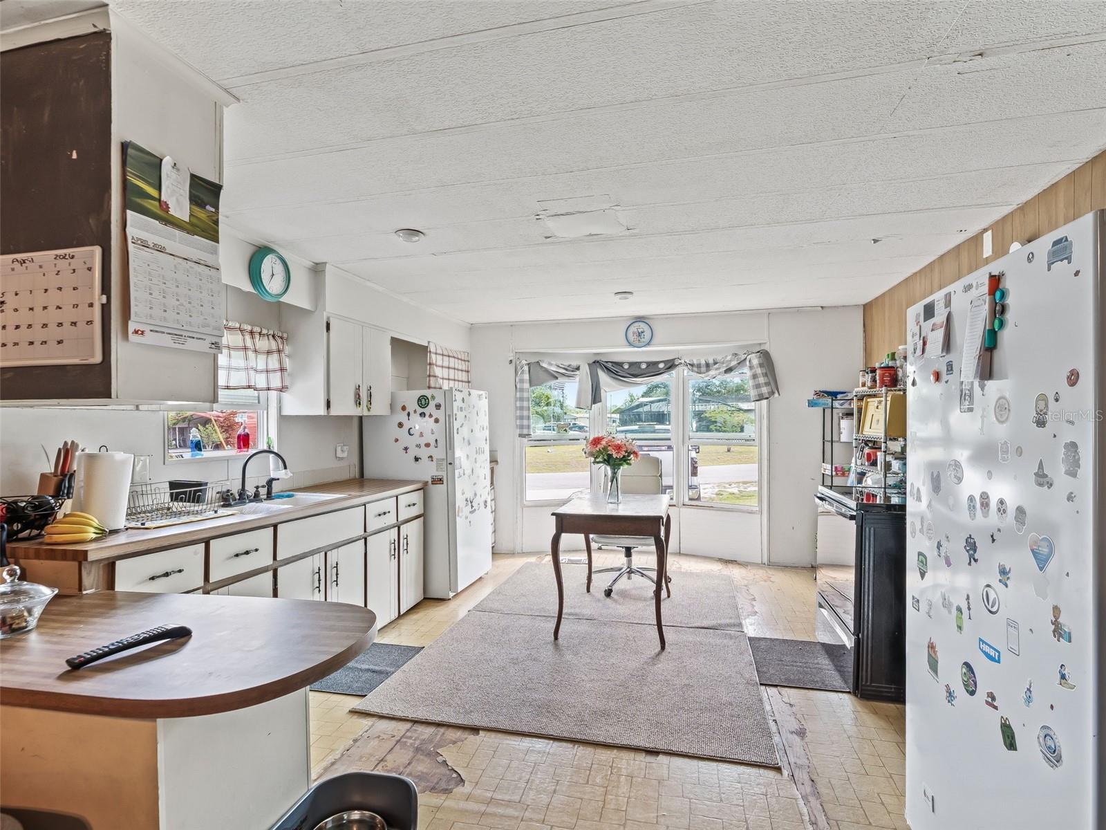 10114 SE 24TH ST, WEBSTER, FL, 33597