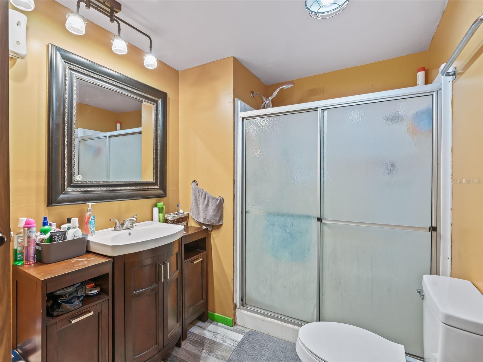 10114 SE 24TH ST, WEBSTER, FL, 33597