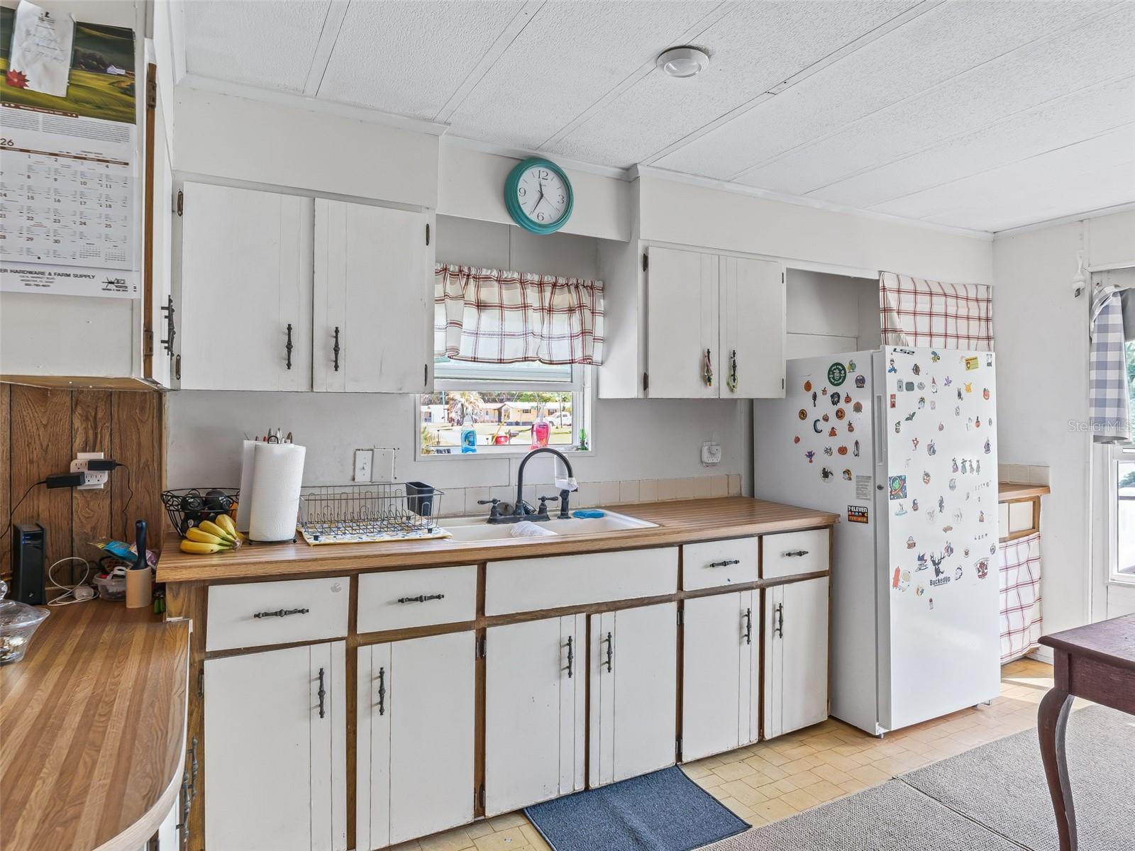 10114 SE 24TH ST, WEBSTER, FL, 33597