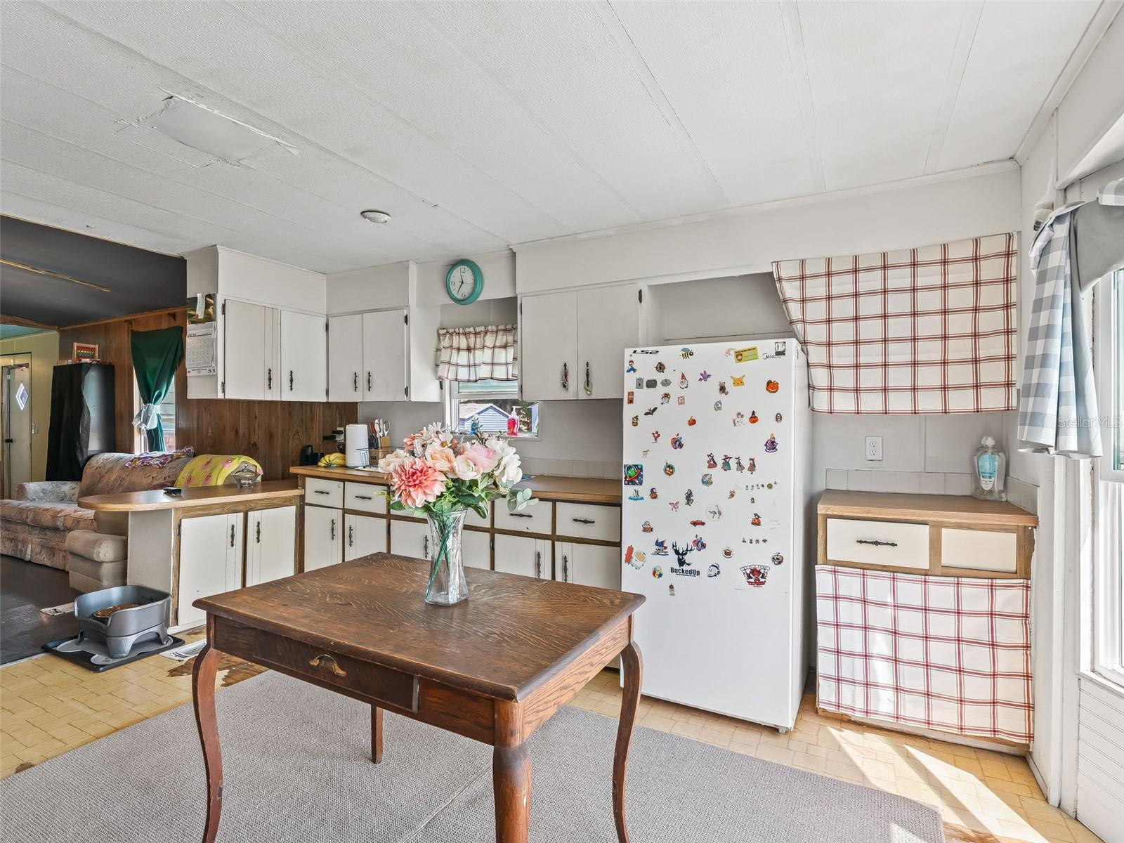 10114 SE 24TH ST, WEBSTER, FL, 33597